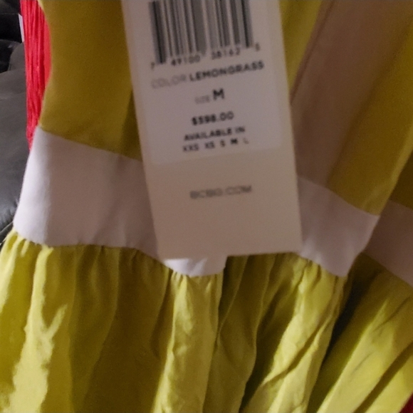 - Vintage rare runway Bcbgmaxazria "SILK" Gown - Picture 5 of 6